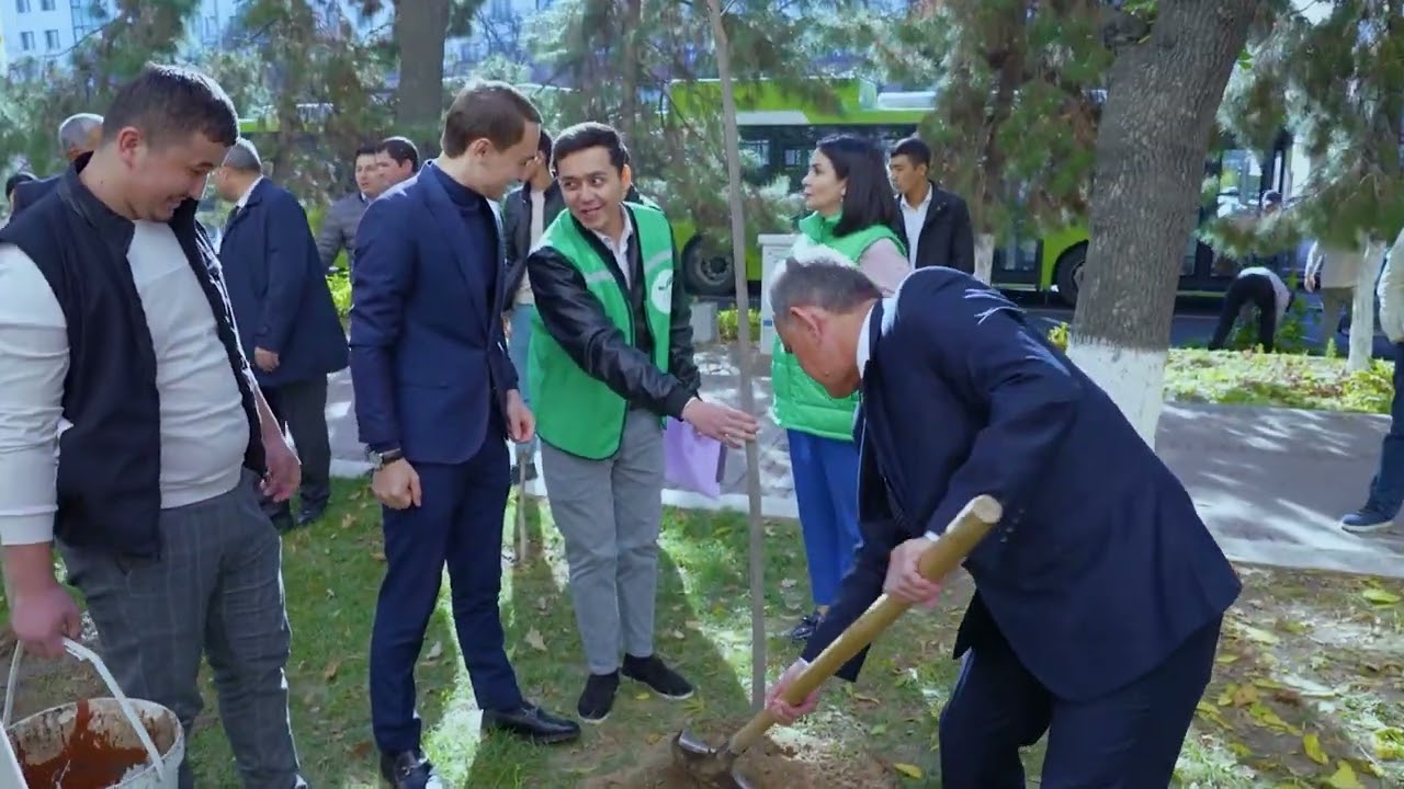 Senatorlar "Yashil makon" umummilliy loyihasida faol ishtirok etmoqda. | tkti.uz