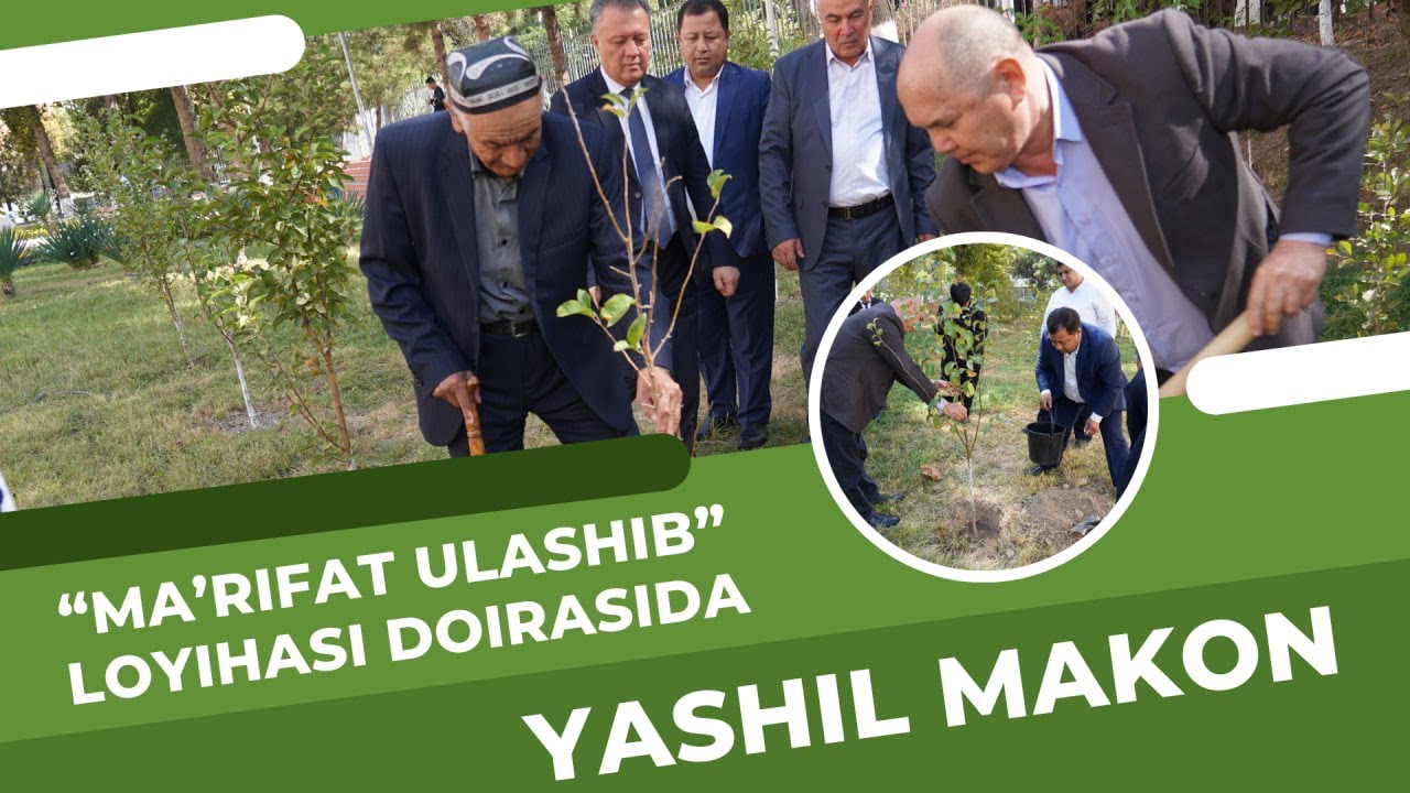 As part of the "Sharing Enlightenment" project, various trees and fruit tree seedlings were planted. | tkti.uz